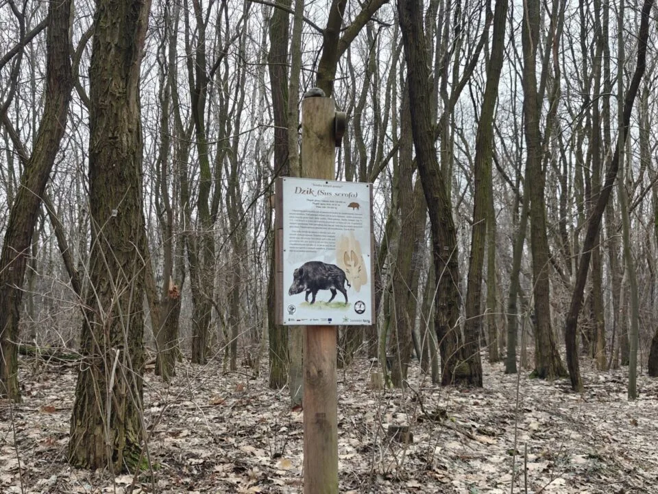 OnePlus 12 aparat sample (2)