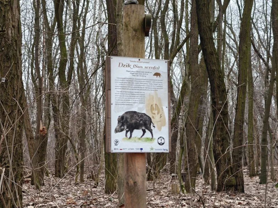 OnePlus 12 aparat sample (3)