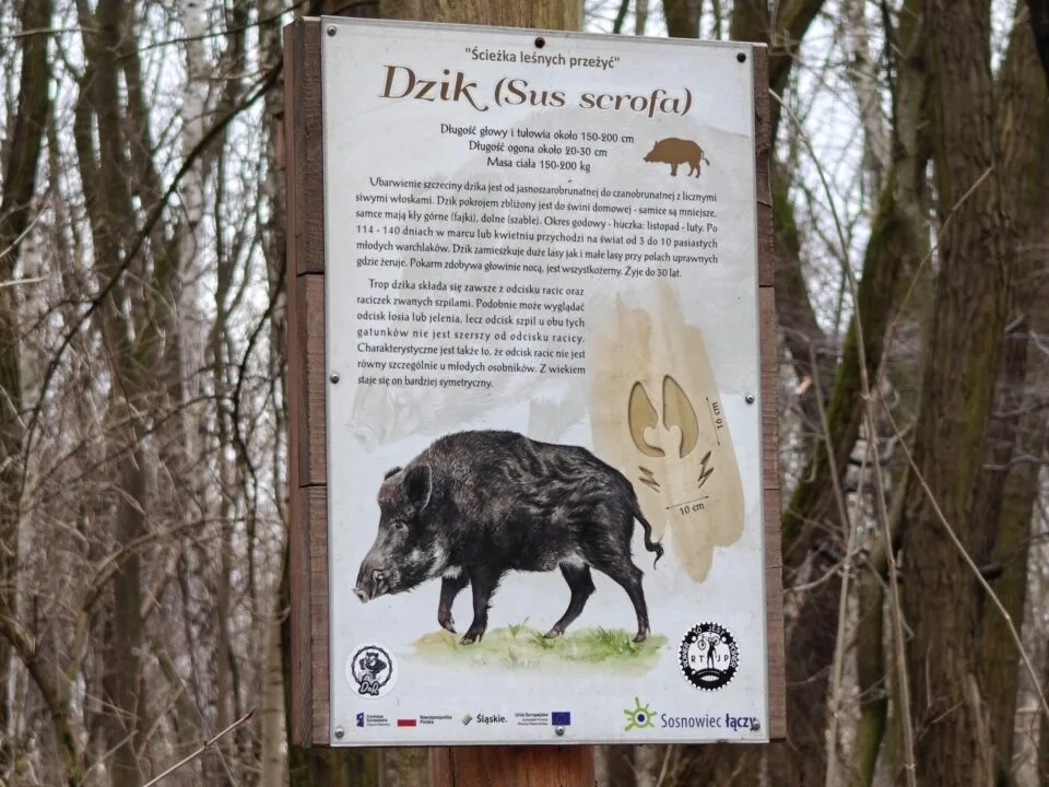 OnePlus 12 aparat sample (4)