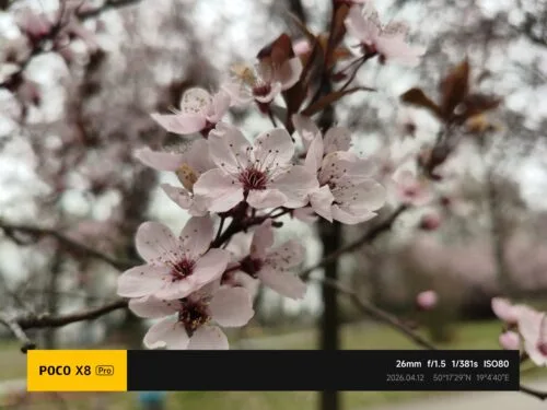 POCO X8 Pro przykładowe zdjęcia