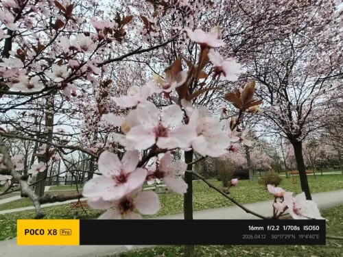 POCO X8 Pro przykładowe zdjęcia