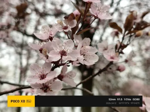 POCO X8 Pro przykładowe zdjęcia