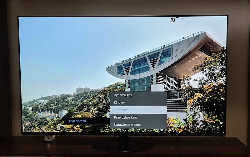 Panasonic_OLED_HZ1000E