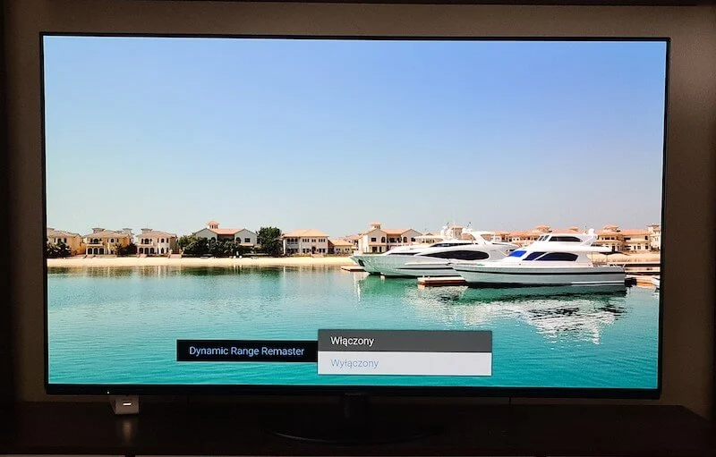 Panasonic_OLED_HZ1000E