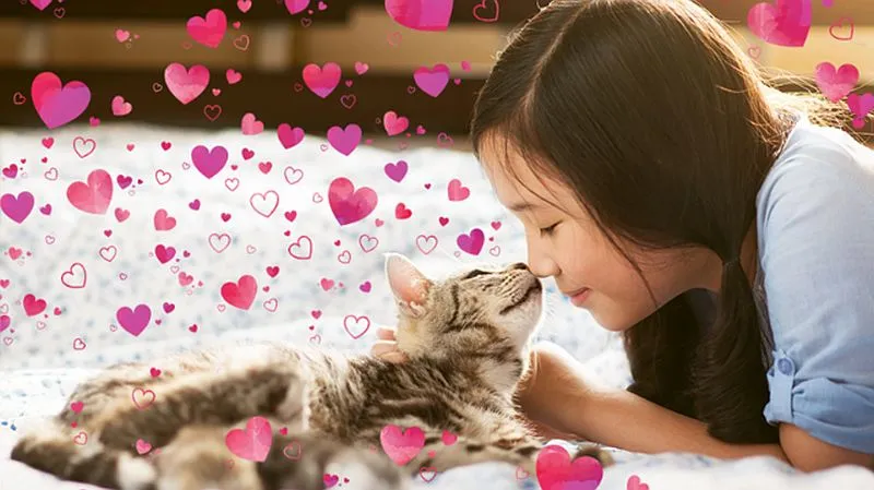 Adobe Photoshop Elements 2020 i Premiere Elements 2020 już w sprzedaży – oto najciekawsze nowości