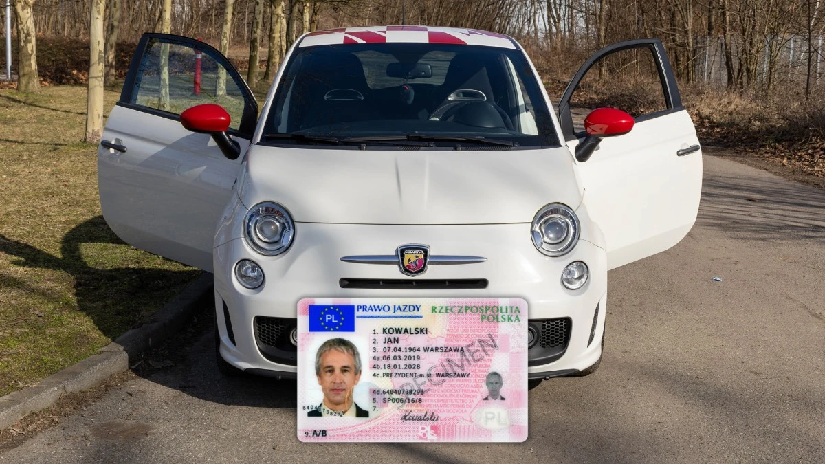 Profil Kandydata na Kierowcę online – jak utworzyć?