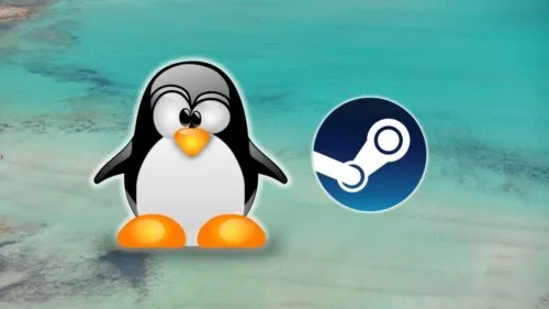 Proton 9.0 wydany. Granie na Linux staje się coraz lepsze
