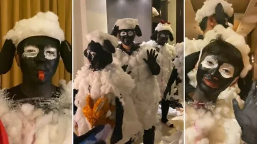 Przebrali się za owce z bajki Shaun the Sheep rasizm