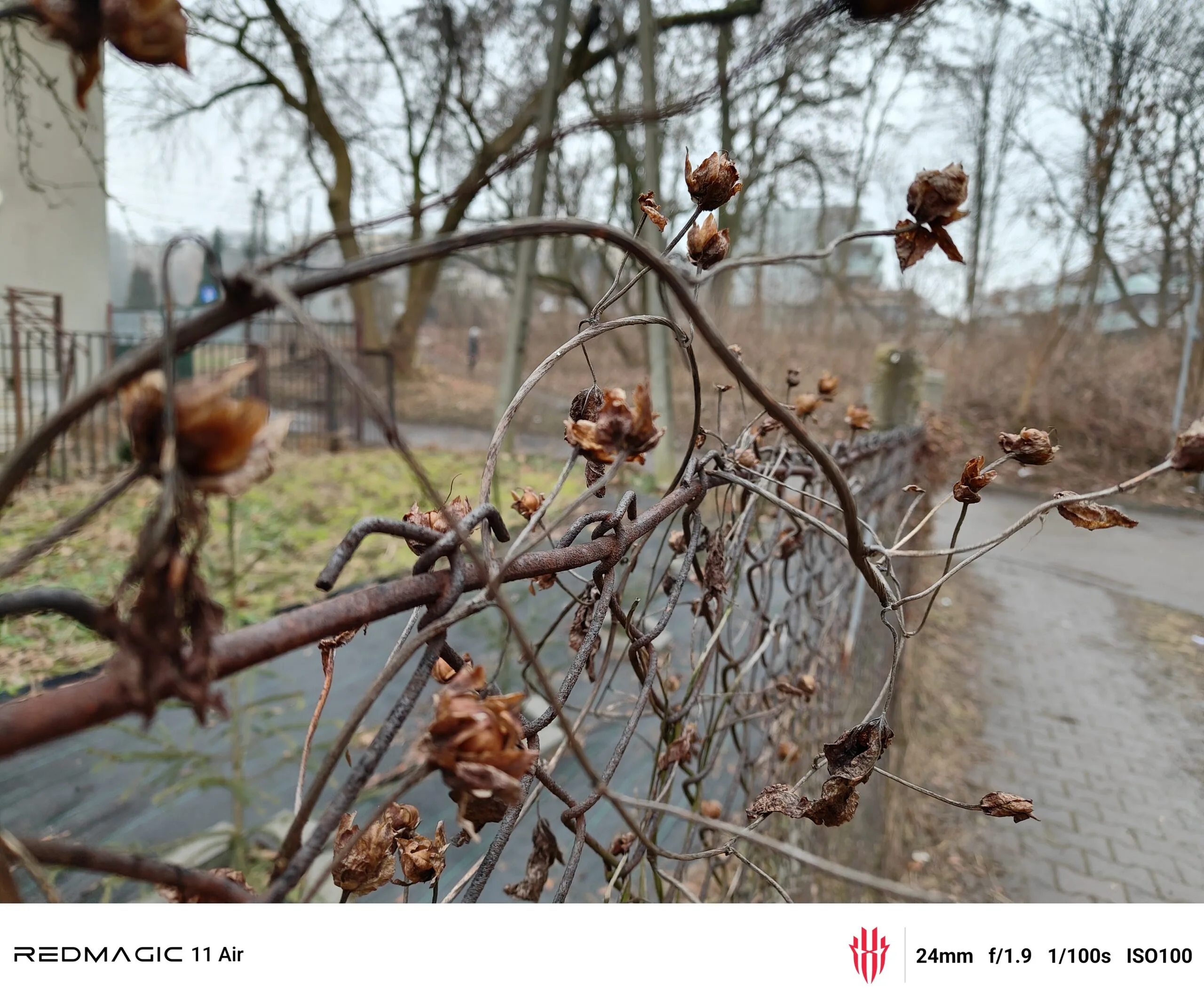 RedMagic Air 11 przykładowe zdjęcia