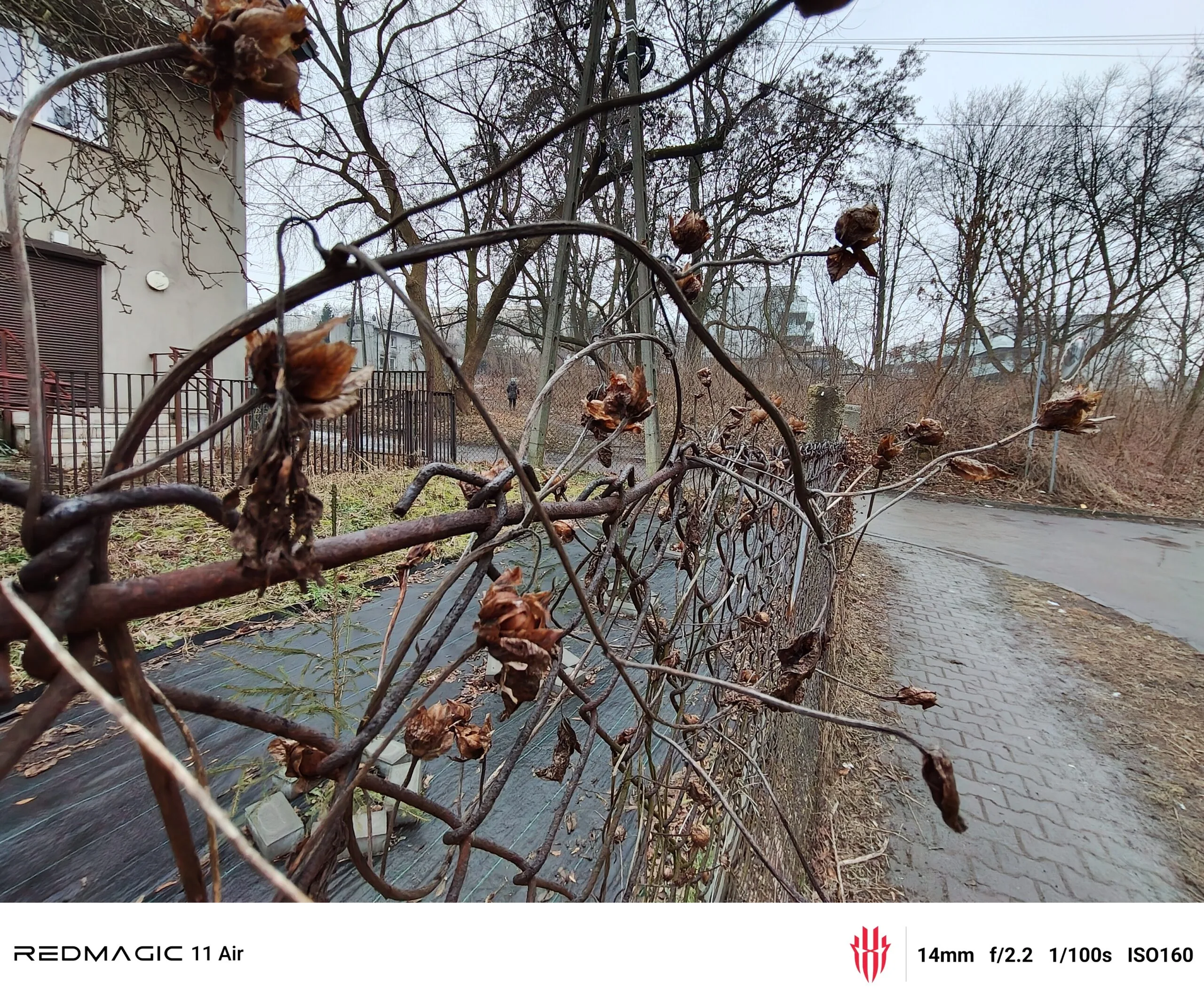 RedMagic Air 11 przykładowe zdjęcia