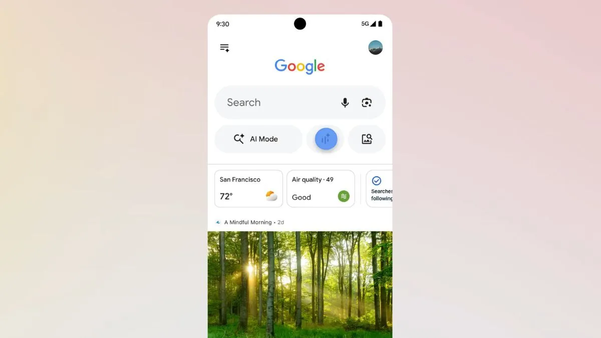 Google Wyszukiwarka Live.