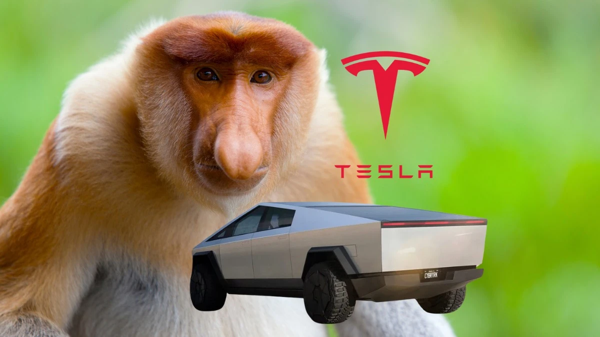 Tesla Cybertruck na każdą kieszeń – w sprzedaży za 250 dolarów