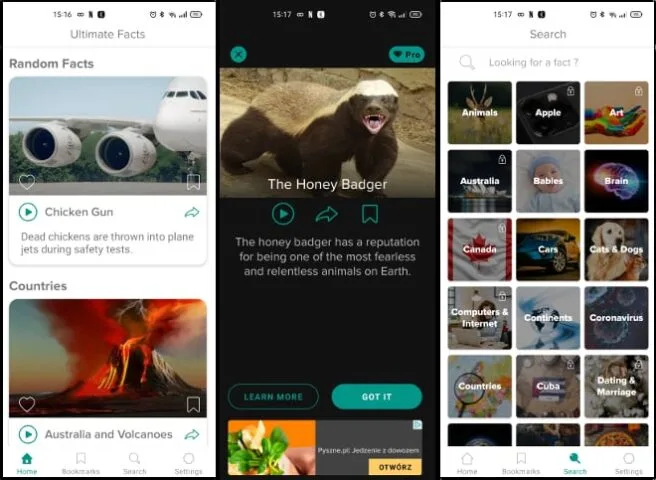 Ultimate Facts – ciekawostki zawsze pod ręką (recenzja)