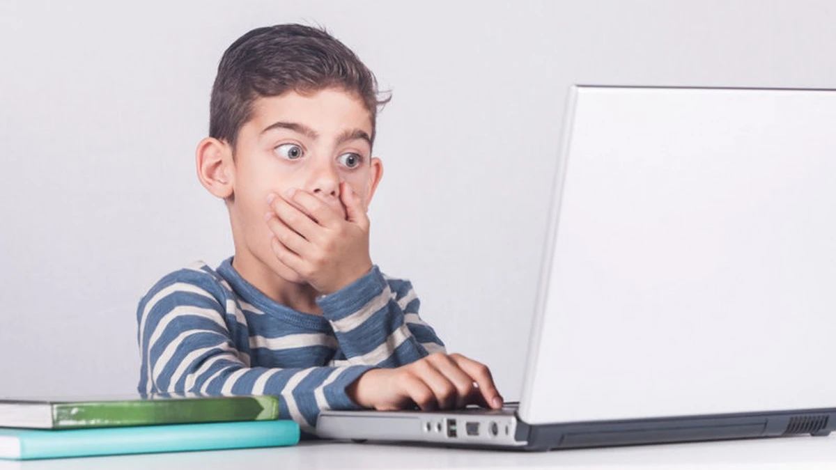 Ustawa o ochronie dzieci w Internecie: rząd podał konkrety