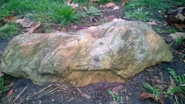 WP 20131120 021 Copy