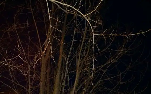 WP 20131222 16 41 10 Pro Copy