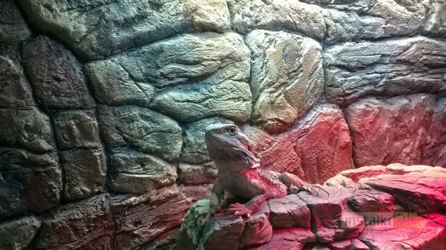 WP 20140307 001 mini