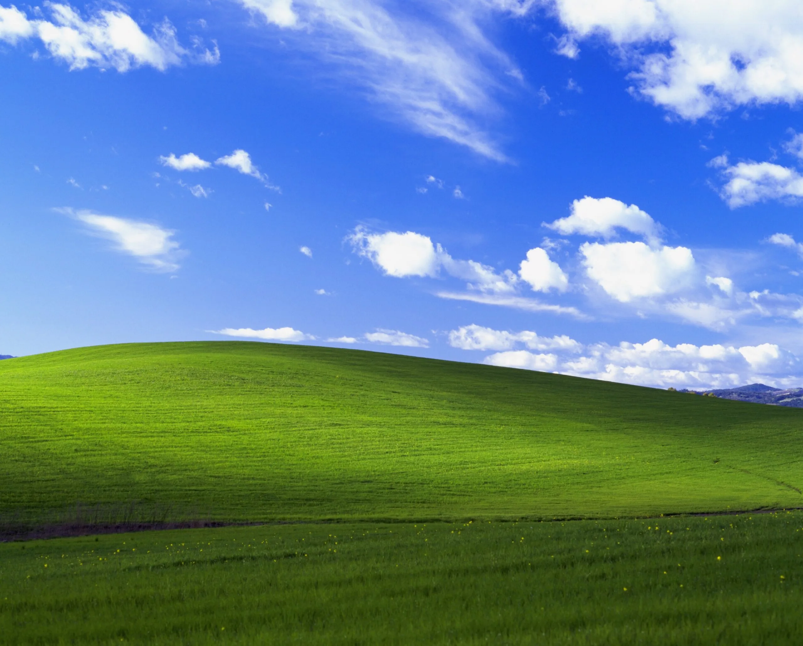 ile Microsoft zapłacił za tapetę Bliss (Idylla) - domyślna tapeta z Windows XP