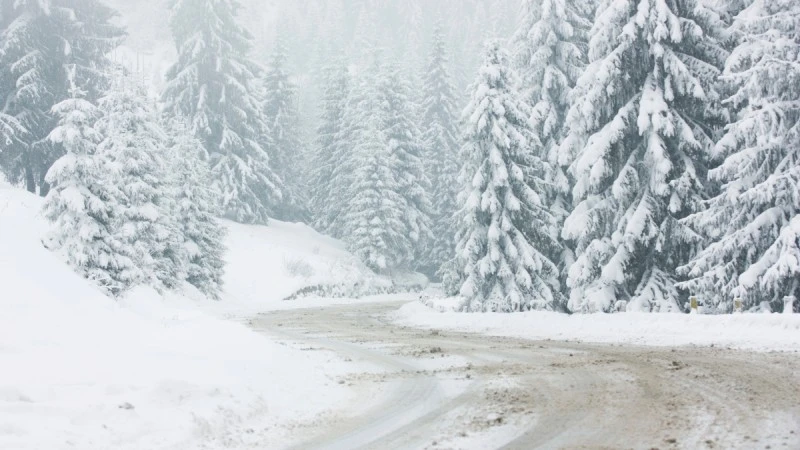 Ferie 2023 i oszustwa na tanie kwatery na Facebooku. Na to uważaj