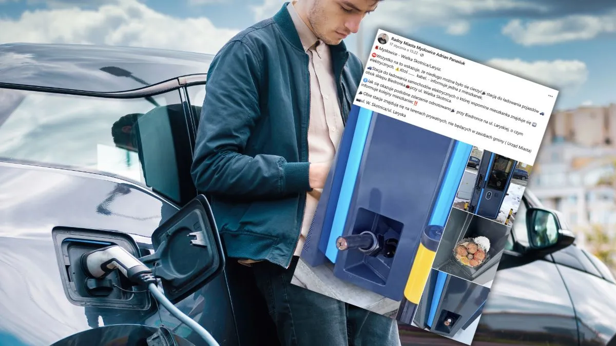 Wycinają i kradną kable do ładowarek dla aut elektrycznych. Internauci zachwyceni