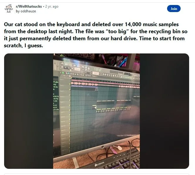 kot wskoczył na klawiaturę