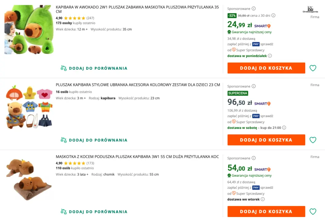 Gry, energetyki i kapibara. 15-letni haker ma poważne kłopoty
