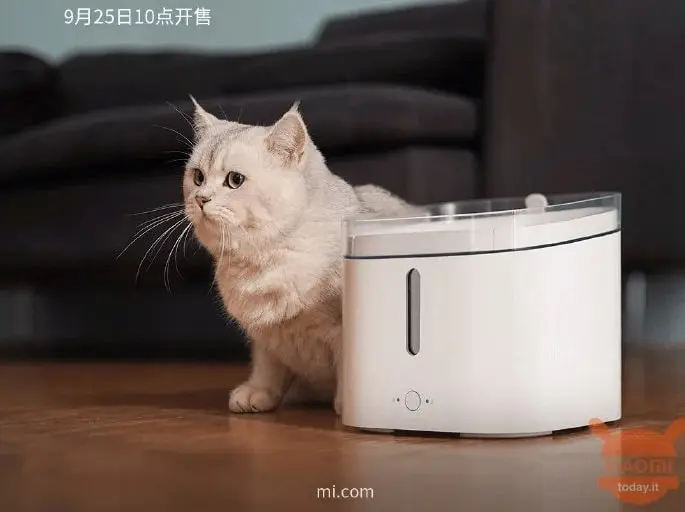 Czy Twój kot potrzebuje smart miski? Xiaomi twierdzi, że tak
