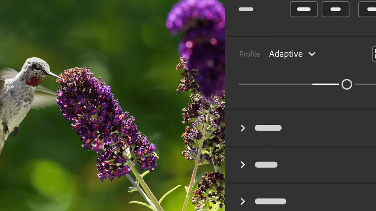 Adobe Lightroom z kolejnymi funkcjami AI. Pozwolą Ci zaoszczędzić sporo czasu