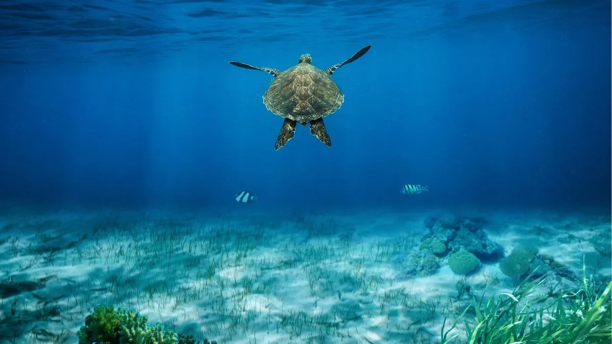 Nowy algorytm wyostrza rozmazane zdjęcia z niespotykaną dokładnością