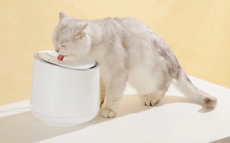 Poidło dla psów i kotów Alvinoo. Układ scalony kontroluje jakość wody