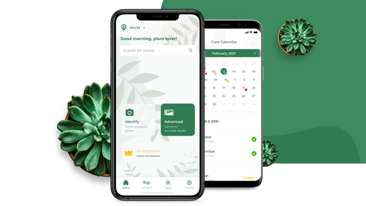 Aplikacje do rozpoznawania roślin mogą być niebezpieczne