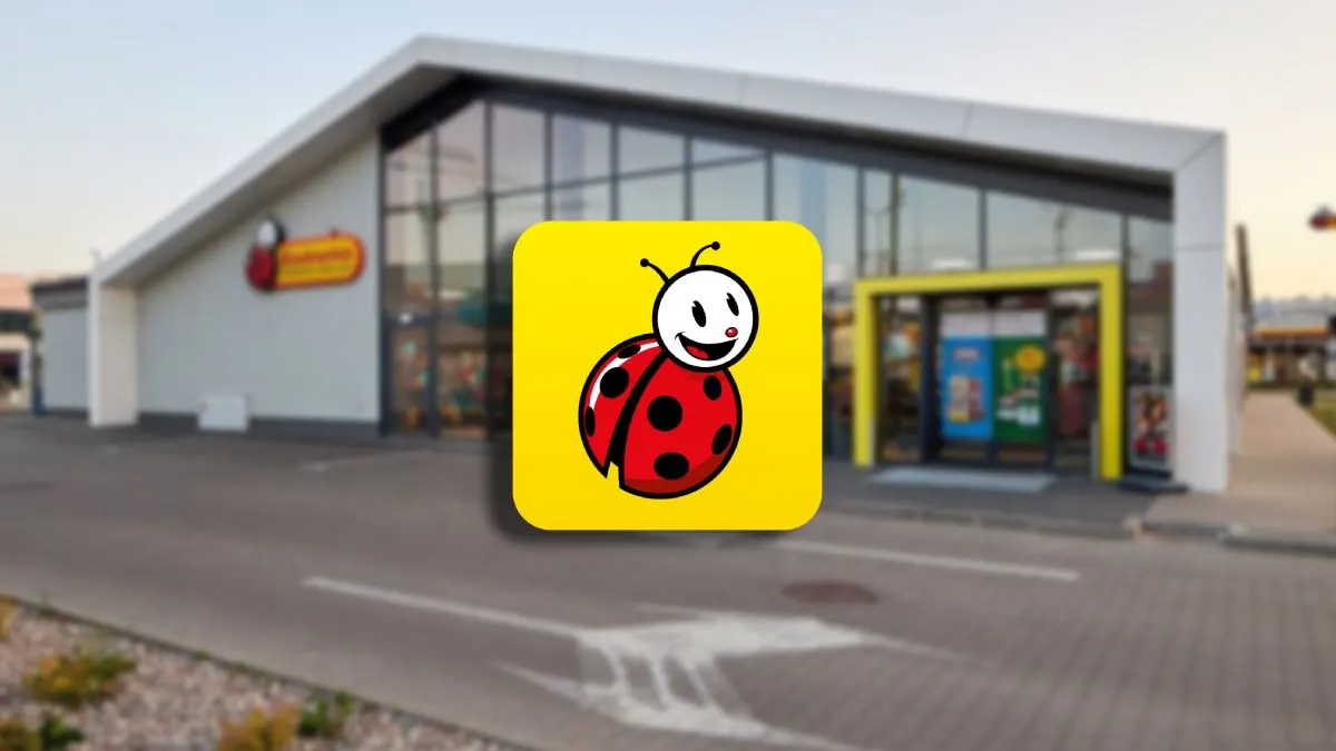 Biedronka zmienia zasady programu „Moja Biedronka”. Nowe reguły konta od 2 grudnia