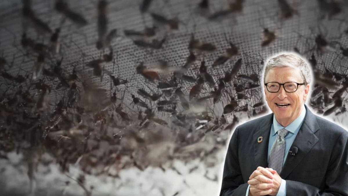 Bill Gates ma fabrykę komarów, które wypuszcza na wolność. Ma ku temu dobry powód