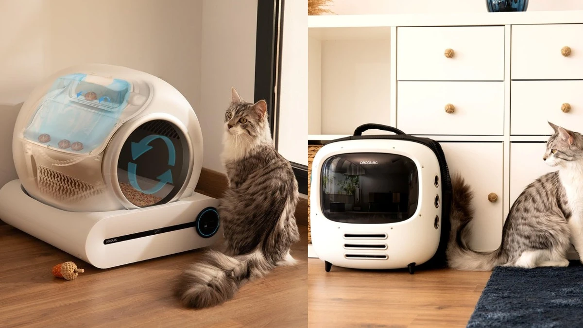 Cecotec świętuje Dzień Kota i wprowadza do sprzedaży nowe gadżety dla zwierząt