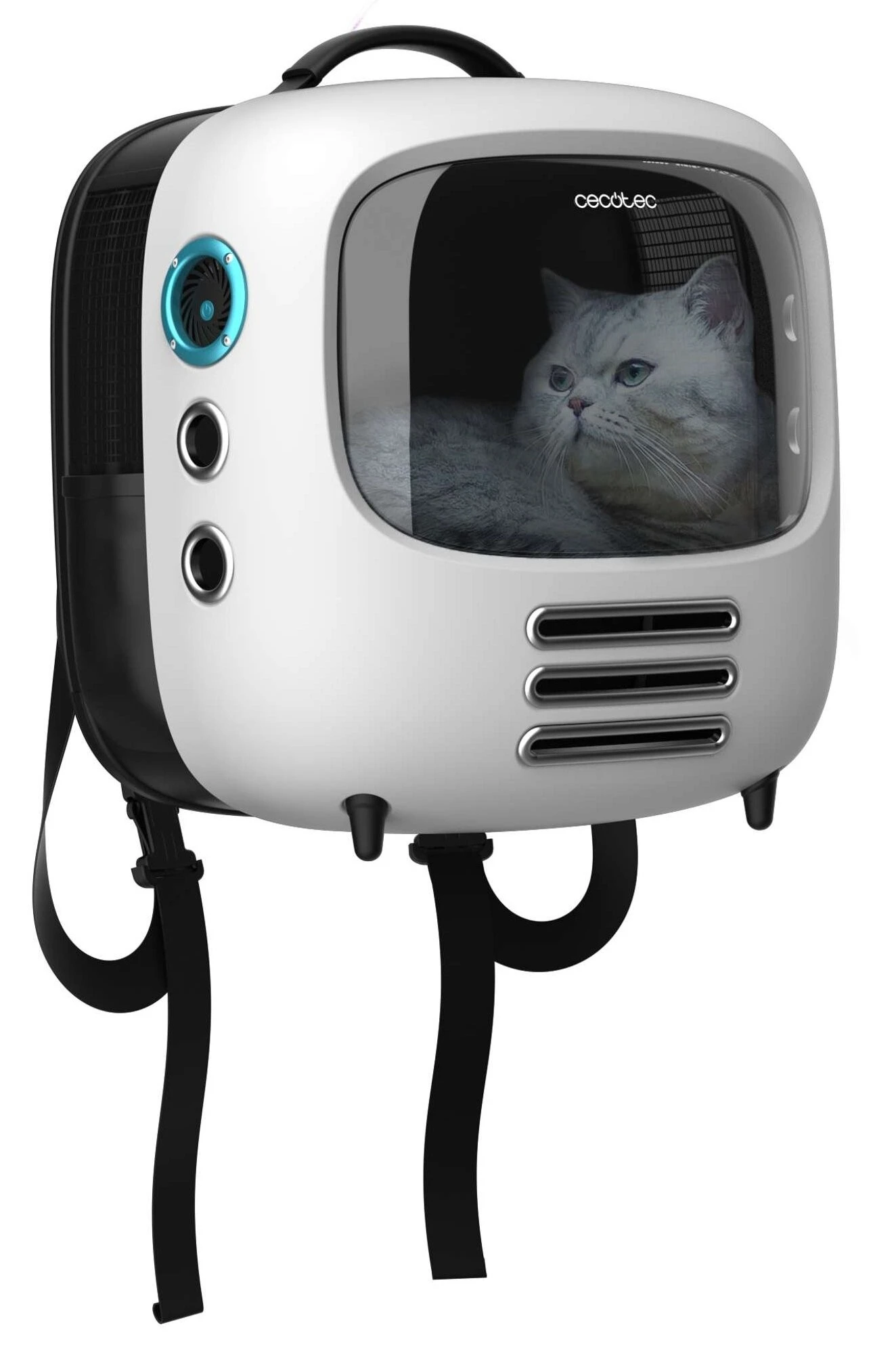 Cecotec świętuje Dzień Kota