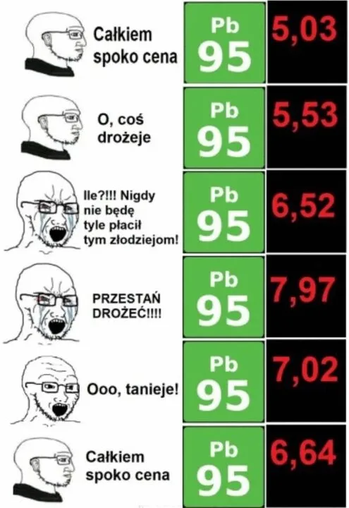ceny paliw mem