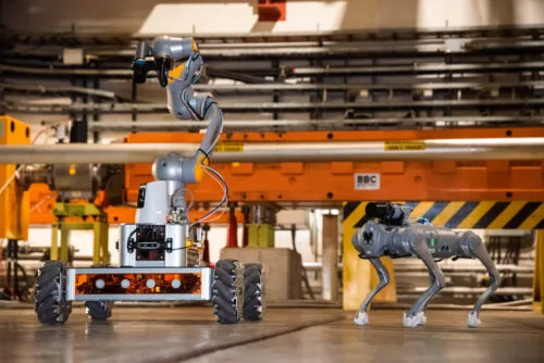 CERN stworzył robota psa, który będzie miał bardzo ważne zadanie