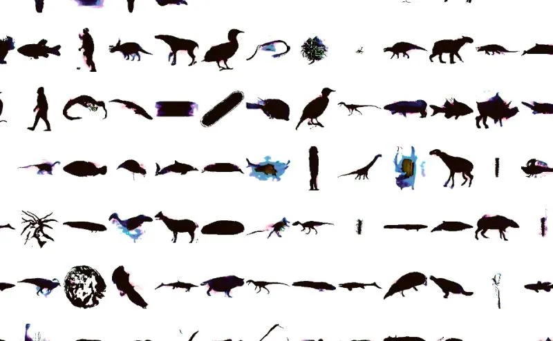 SI wygenerowała przedziwne zwierzęta, jakich nie widział świat