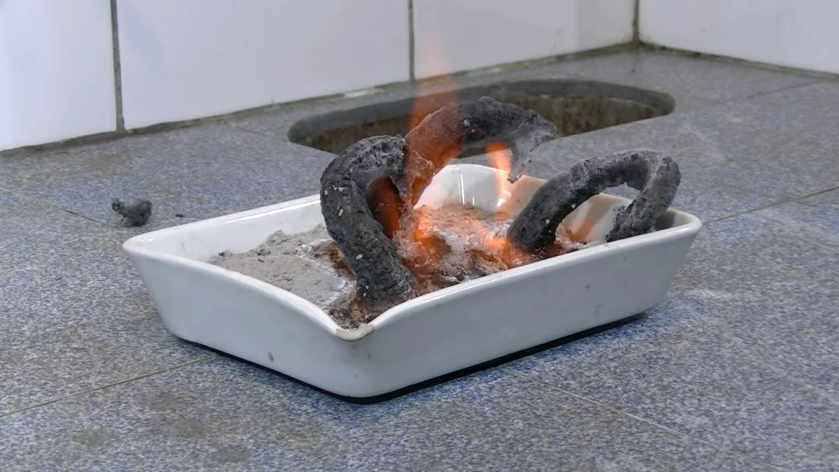 Cukrowy wąż poparzył 11 uczniów. Fatalne skutki eksperymentu