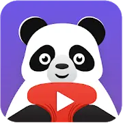 Video Compressor Panda