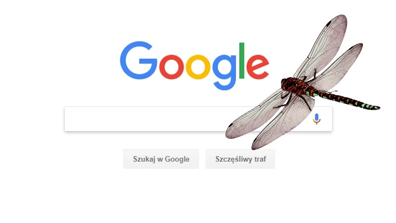 Google wycofuje się z projektu Dragonfly na skutek protestów własnych pracowników