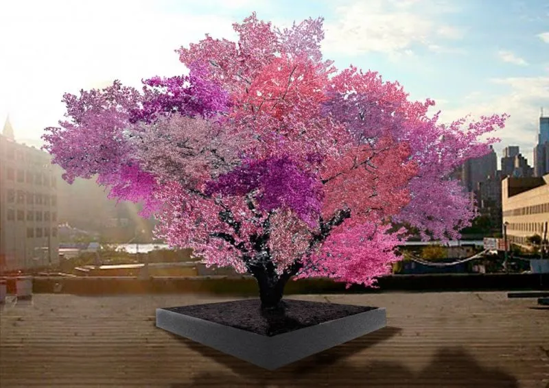 Na tym niesamowitym drzewie rośnie aż 40 różnych gatunków owoców