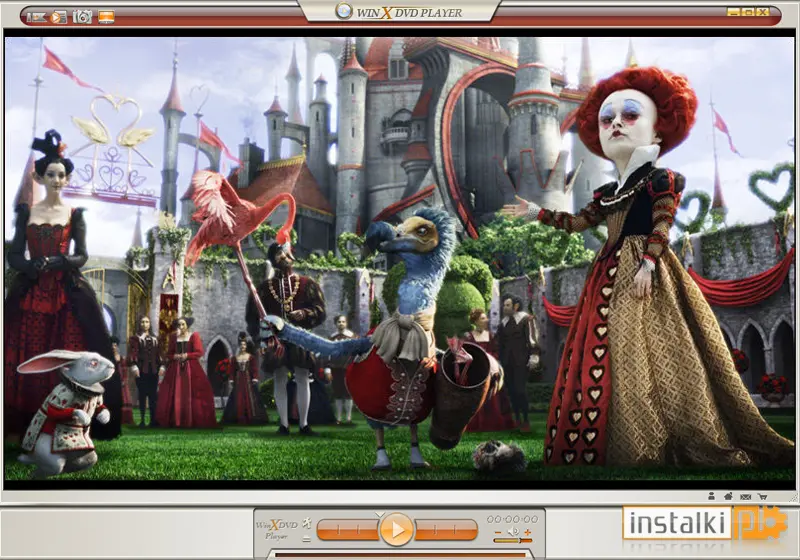 WinX DVD Player