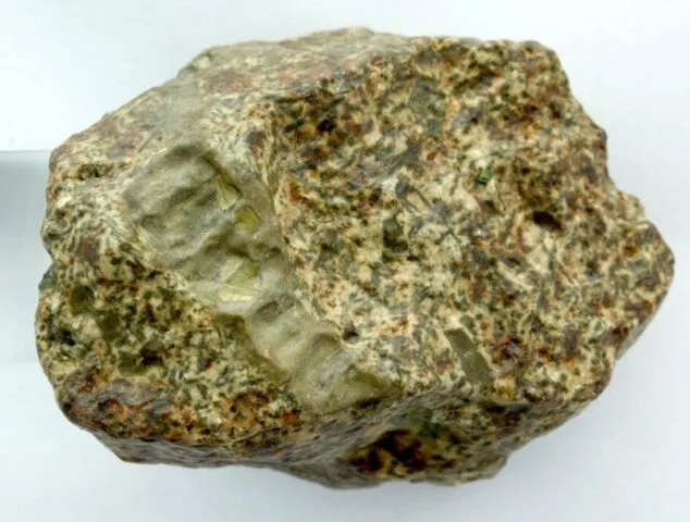 Ten kawałek skały z Algierii mógł być częścią powstającej planety