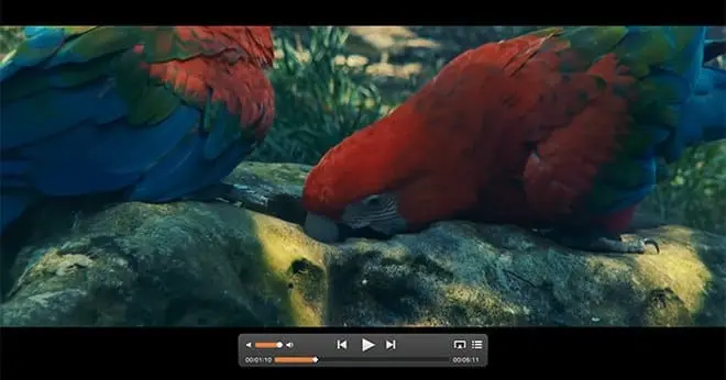 Zainstalowałeś ten odtwarzacz? Twój komputer może być zainfekowany