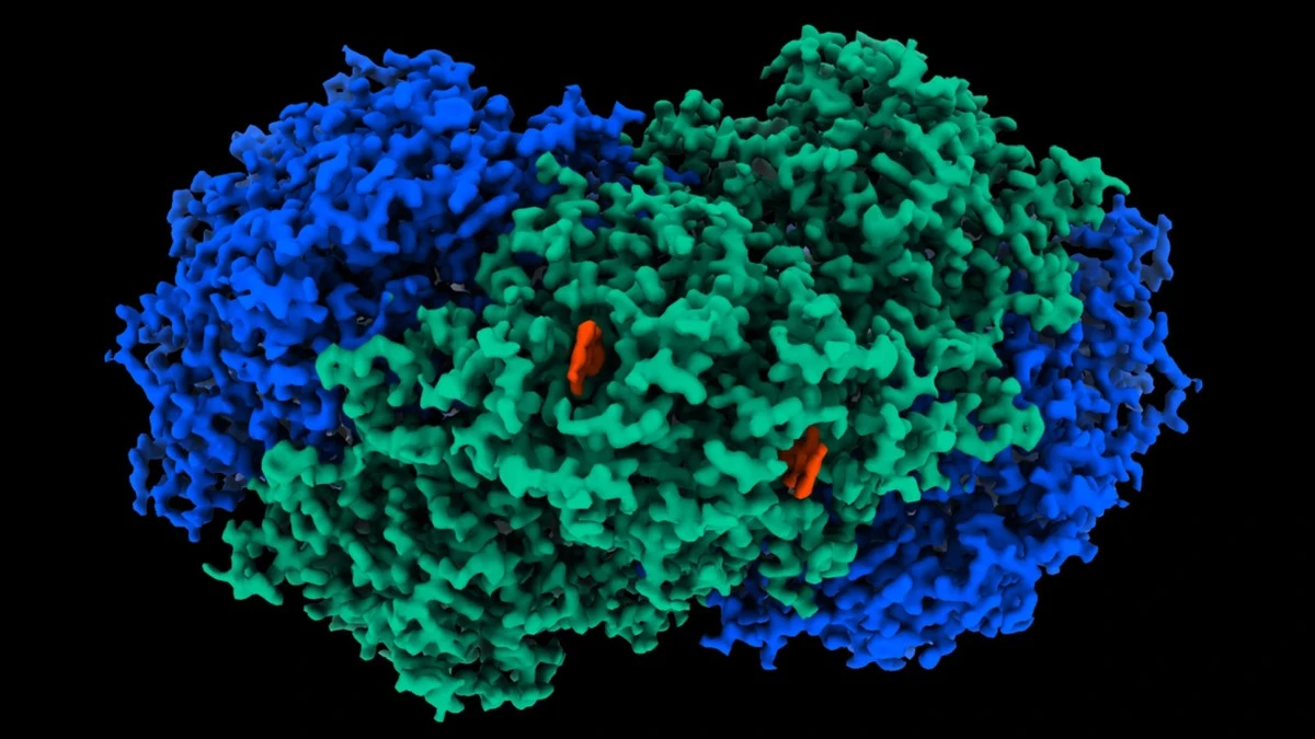 Odkryto enzym, który wytwarza energię elektryczną z powietrza