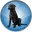 Black Lab Linux