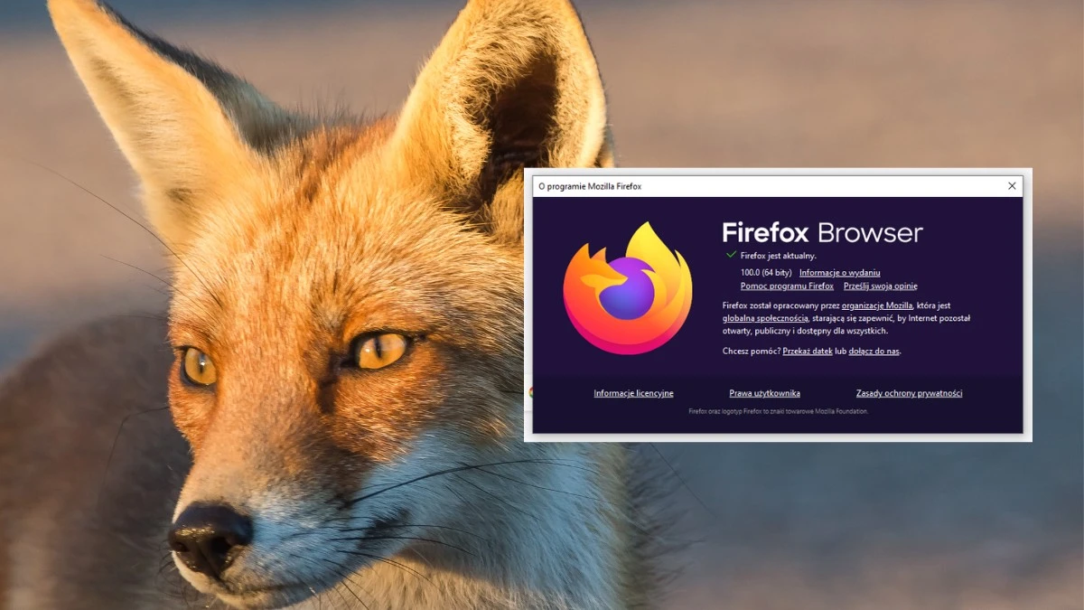 Firefox 100 z mnóstwem nowości. Pobierz go już teraz