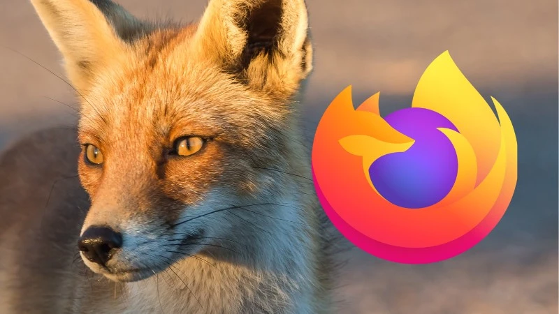Najpopularniejsze i najciekawsze wtyczki do Firefoxa w 2021 roku