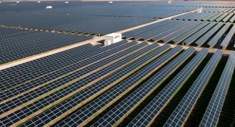 Apple wybuduje farmę słoneczną za 848 mln dolarów